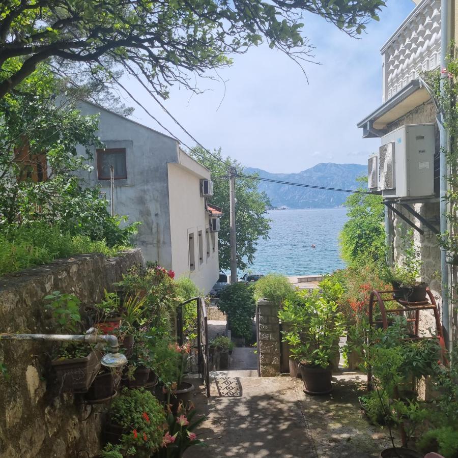 Studio On The Coast, With A View Of The Sunrise,Free We-Fi Kotor Exterior foto